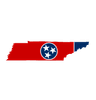 Tennessee Senate Election Winner