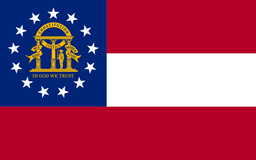 GA-13 House Election Winner