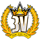3v Team