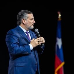 Ted Cruz # posts August 11 - August 18, 2026?